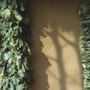 지리산나들락마을 이미지