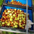 천을농장 이미지