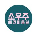 소우주 애견미용실 이미지