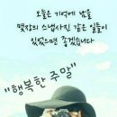 자연건강원 네이버블로그