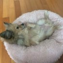 (주)바른마음 이미지