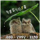 물왕레이크뷰 이미지