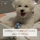 아이펫샵 | [신대방삼거리 도그앤프릭스] 신대방삼거리역 반려동물용품샵 / 우리러브씨의 찐 단골집