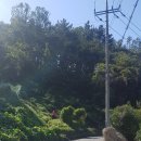 명정고개길 이미지