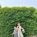 청산도 돌담민박 이미지