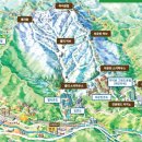 마이애미정선 이미지