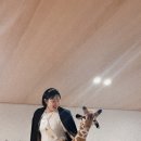 가비키즈풀빌라 이미지