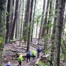 Poopoo Point (Chirico Trail) - Tiger Mountain #3 12/28/22 (수요산행) 이미지