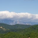 남훈행정사 이미지