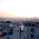아이리스 공인중개사사무소 이미지