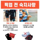 골드문투어 - 군산시 대학로 108-1 | 골드문투어