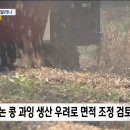 김제HA | 콩 심으라 해서 콩 심었더니 다시 줄인다? 정부 오락가락 농업 정책에 비판 이어져(뉴스 피클 2025.08.20.)