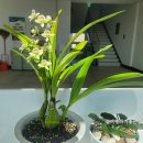 가평읍사무소 이미지