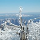 2월 호남명산 전북 무주 덕유산 향적봉(1,614m) 이미지