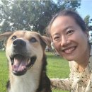 송대민박 이미지