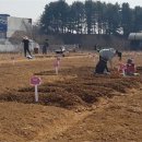 마정1농장 이미지