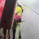 우영 | 부평 지역 누수 의심될 때 도움이 됐던 우영누수탐지 후기