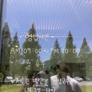 무정면사무소 | [아쥬레] 담양 카페 추천 메타세콰이어길이 아름다운 무정 카페