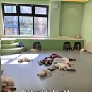 평화유치원 - 영등포구 | 평화유치원