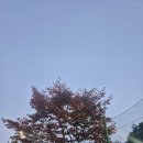 시민체육광장(매점화장실) 이미지