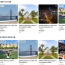 서부로(3-167) | 미국 서부 샌프란시스코 여행 페인티드 레이디스 알라모스퀘어 공원