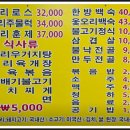 초원생오리 이미지