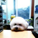 몽글몽글 이미지