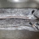 유진수산 이미지