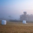 안서목장 이미지