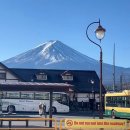 2243 | 도쿄 후지산 버스투어 후기 도쿄에서 후지산 가와구치코 가는법 후지익스커션 도쿄 근교 여행 당일치기...