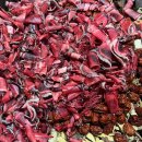 부자 흑염소농장 이미지