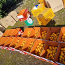 새론농장 이미지