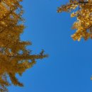 길가네국밥 이미지