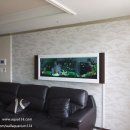 물속풍경수족관 이미지