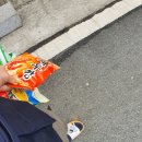 청안골육개장