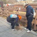 푸르미 이미지