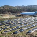 박종섭 공인중개사사무소 이미지