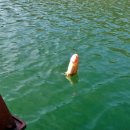 유정낚시터 이미지