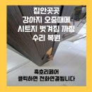 노원-현장-1276 | 집안곳곳 강아지 오줌때메 시트지 벗겨짐 까짐 수리 복원