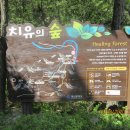 부산치유의숲 방문자센터 이미지