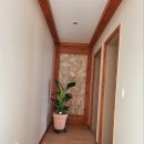 거기벵디 이미지