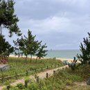세븐일레븐 경포파도점 | [국내여행/강릉] 2박3일 강릉여행 2일차 (경포해변, 소나무집초당순두부, 순두부젤라또 1호점, 강문해변...