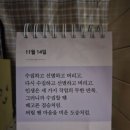 정하아우라