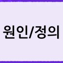 이황MSM 네이버블로그