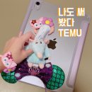 애플랜드 | TEMU | 아이패드&amp;애플펜슬케이스,라따뚜이머리띠 후기(디즈니랜드 준비물)