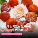 엔젤스가든