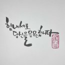 캘리그라피 티스토리