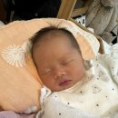 하트핏 | 완모 아니어도 필수! 더블하트 에어스킨핏 수유패드 신제품 솔직 후기 (산후조리원 준비물 추천/ 수유...
