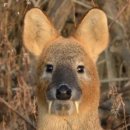 뉴욕PC방 이미지