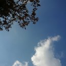 운악레저타운 이미지